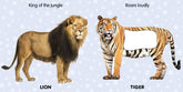 Dreamland Touch and Feel Series - A Picture Book For Kids - Set of 4 Titles(English)